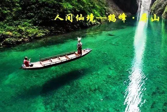 大白菜的炒菜方法